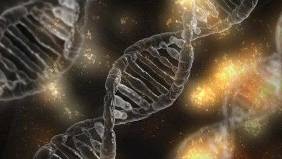 La fotografia delle mutazioni del tumore renderà l'immunoterapia ancora più precisa