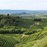 Prosecco, ecco la ricerca che piace agli inglesi: 