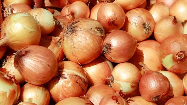 Cipolle introvabili, prezzi su del 130%