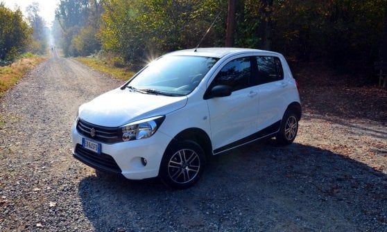 Suzuki Italia, il 2016 chiude con vendite a +21%