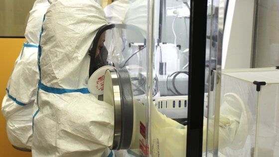 "Abbiamo allevato le zanzare e provato che non trasmettono il virus"