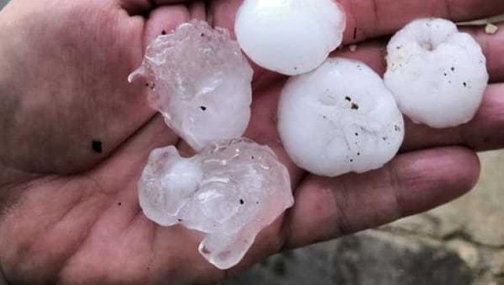 Tempesta di grandine a luglio 2021: le aziende agricole di Parma potranno chiedere i danni 