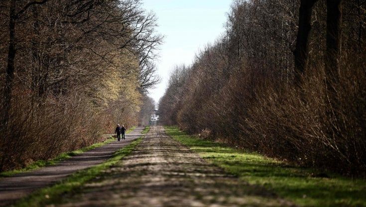 Parigi-Roubaix, tre teenager al via: Tarling guida l'onda verde sul pavé