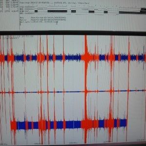Terremoti, cinque scosse lievi nell'Aretino: nessun danno