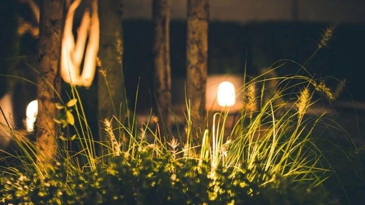 Una notte ai Giardini, Ischia scopre il fascino inedito della Mortella