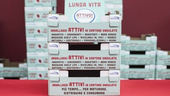 Oli essenziali nel cartone: così la frutta dura più a lungo