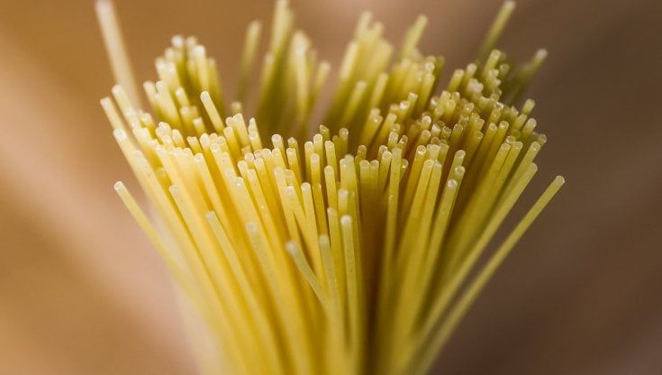 Invincibile pasta, così ha sconfitto la carbofobia e si festeggia nel mondo