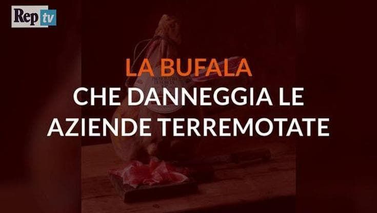 "Non inviate soldi", il messaggio-bufala che danneggia le aziende terremotate