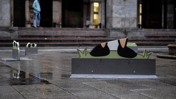 Milano, vandali distruggono tutte le opere di Pao. L'artista: "Fiducia non ripagata"