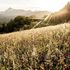 Serchio & Garfagnana: la Toscana che non t'aspetti