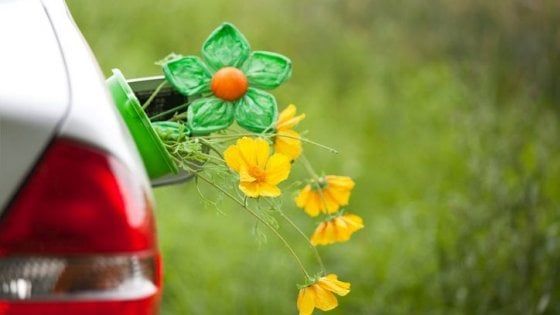 Ue: zero limiti entro il 2030 per la produzione di biocarburanti