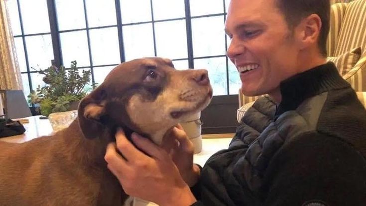 Tom Brady “riporta in vita” il cane: la leggenda Nfl ha clonato il suo pitbull