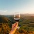 L'Aquila apre il sipario sul vino d'Abruzzo: nuove cantine e giovani al timone