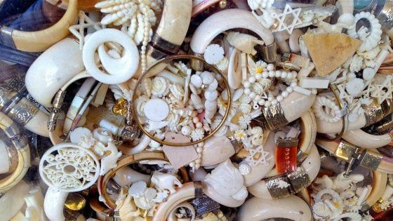 Siracusa, sequestrati in un negozio monili d'avorio per 14mila euro