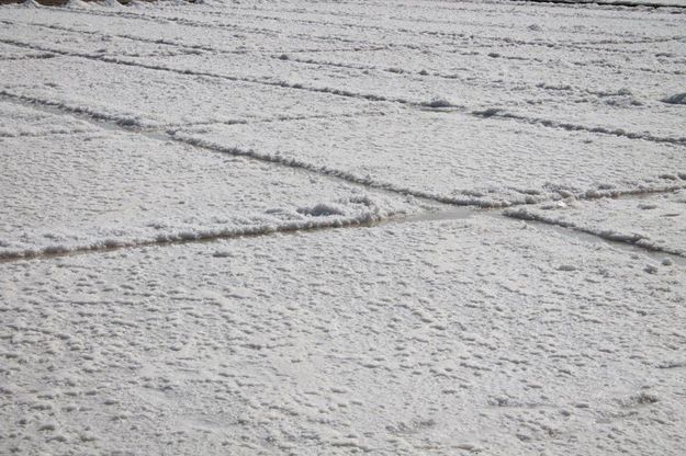 Via alla raccolta dell'oro bianco. Il lavoro diventa spettacolo nelle Saline di Trapani