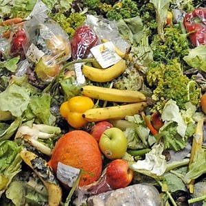 La sfida dei ristoranti francesi: l'app di fattorini in bici per portare il cibo avanzato ai poveri