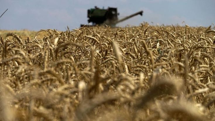 Il gasolio agricolo aumenta del 140%. È crisi per il grano siciliano