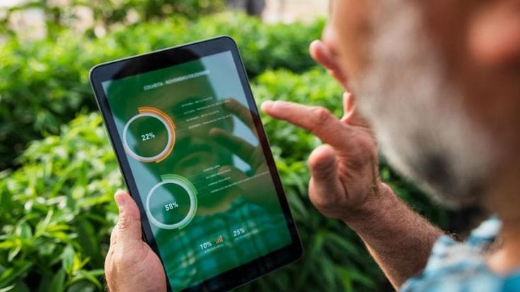 PlantVoice, la startup che combatte lo stress delle piante con l’intelligenza artificiale