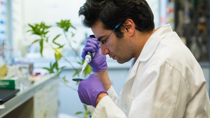 “Ho trovato il modo per ridurre i pesticidi”. La geniale idea di uno studente del Mit 