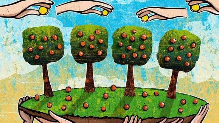 Alessandro Gassmann e gli eroi verdi: “Salviamo gli orti solidali”