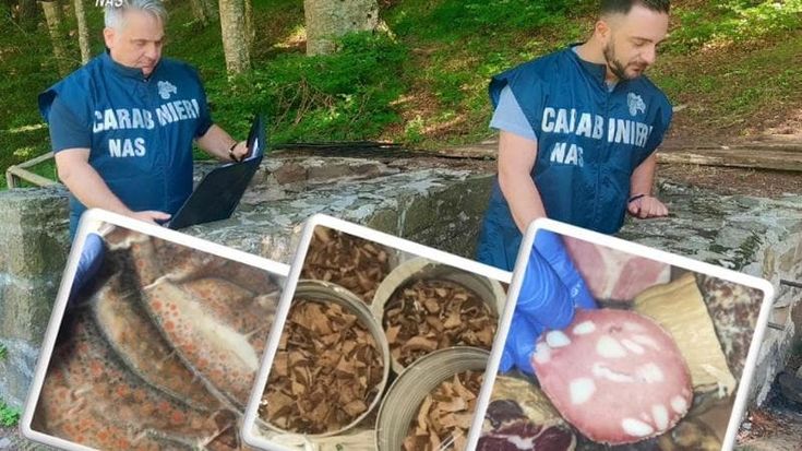 Carne di cervo, cinghiale, trote o salumi scaduti anche da 20 anni: i controlli dei Nas in Appennino