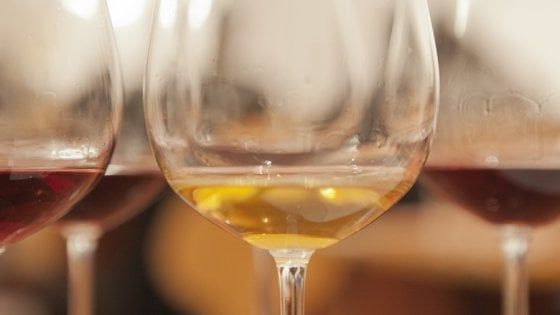Chioggia: tutti in riva al mare per un "Tuffo" nei vini dal cuore naturale