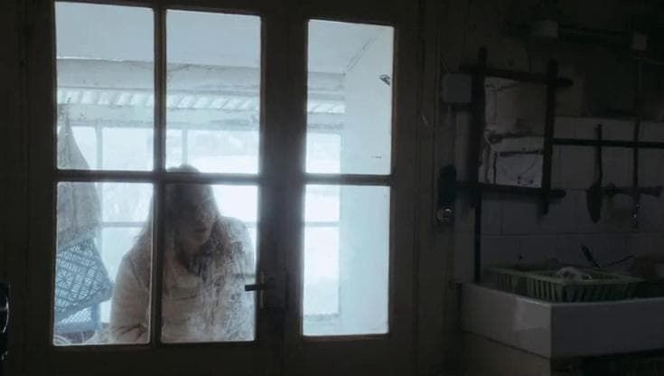 Il lunedì del cinema, in streaming il 28 aprile il film “Only the Animals”
