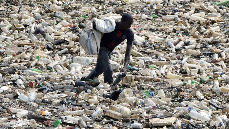 Quel batterio ci salverà dalla plastica 