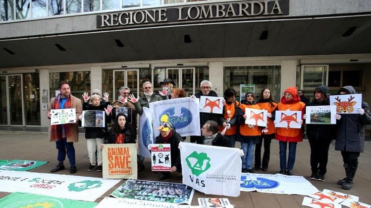 Il Tar boccia la deroga della Regione Lombardia che consentiva di cacciare storni e fringuelli
