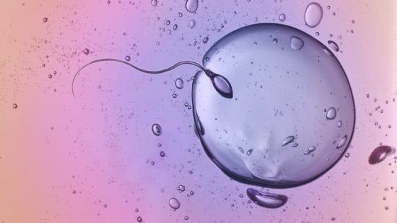 Infertilità maschile: un problema sociale troppo spesso ignorato
