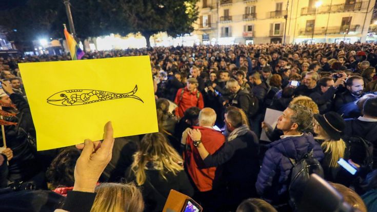 Dalle sardine ai ragazzi di Greta.  Così nuotano nello stesso mare