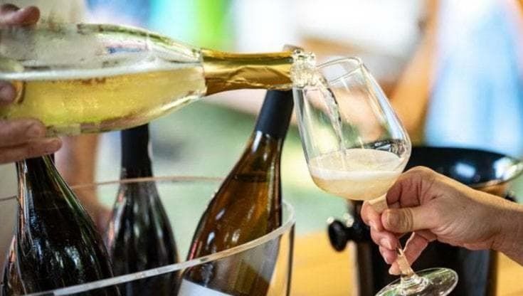 “Raccontiamo il vino”: il governo lancia gli spot in televisione