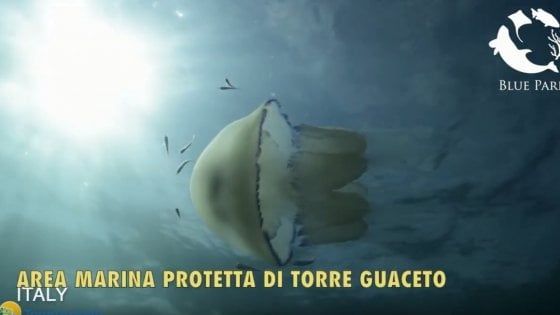 Torre Guaceto tra le 16 oasi al mondo premiate con Blue park award