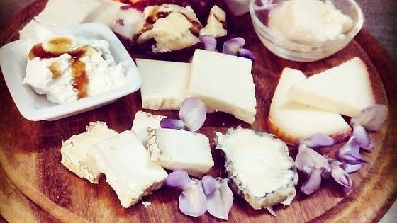 Bologna: all'Osteria Eco di Vento cucina vegetariana e vegana tra luci e ombre