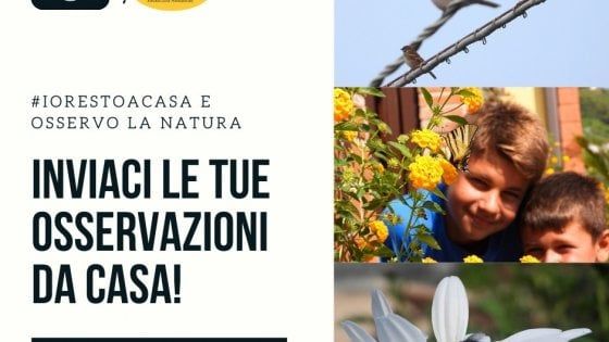 Studiare la biodiversità restando a casa: occhi aperti sui giardini