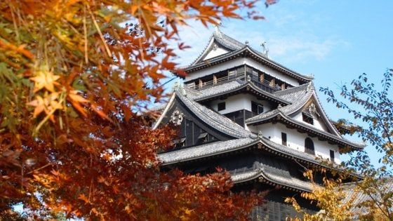 Pensare ai colori  dell'autunno  giapponese