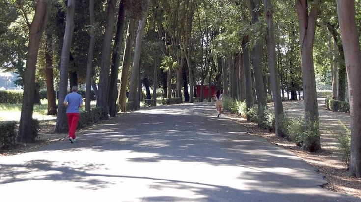 Al Parco delle Cascine debutta la prima oasi di biodiversità