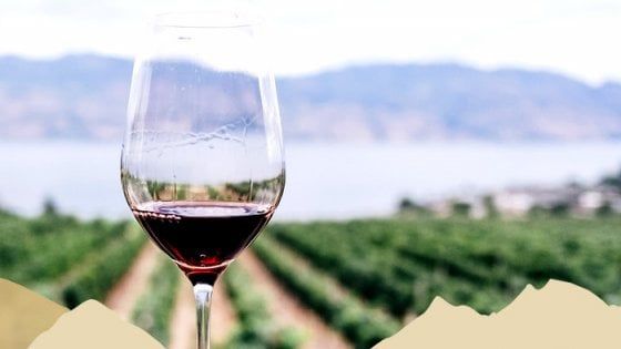 The Circle: chiacchiere, musica, vino e molto altro a Merano