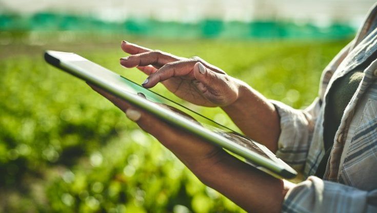 Conserve Italia in prima linea sulla sostenibilità