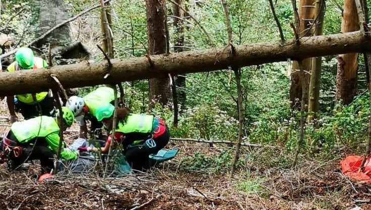 Appennino Parmense: boscaiolo muore schiacciato da un albero 