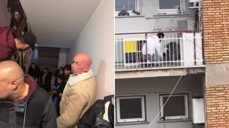 Blitz animalista a casa del padrone che picchiava il cane: 70 attivisti fuori la porta