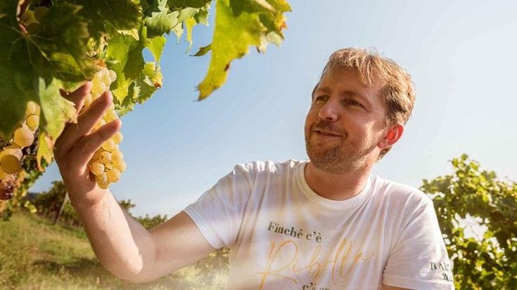 "Gradis’ciutta": con i grandi bianchi del Collio, Robert Princic lancia la sua sfida alla Borgogna