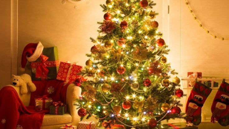 Tempo di albero di Natale,  tempo di coccole e salute da bere in tazza