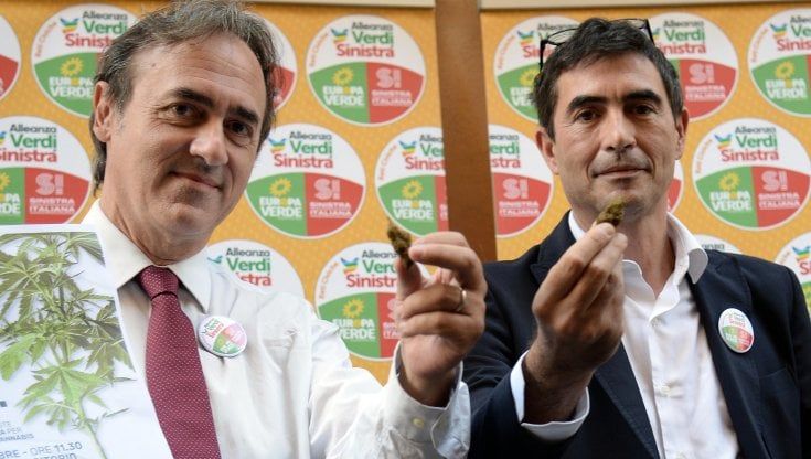 Rossoverdi per la legalizzazione della cannabis: "Patrimoniale sulle mafie". Attacco a Calenda, "antiproibizionista con Bonino, proibizionista con Gelmini"
