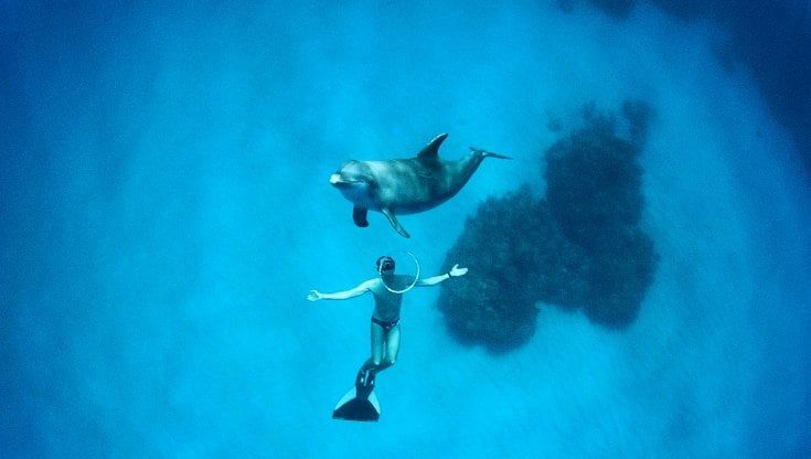 Mike Maric, il campione di apnea si racconta in un documentario: "Lavorando sul respiro insegna a gestire le emozioni"