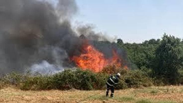 Incendi, ordinanza del Comune di Bari: “Entro il 14 giugno mettere in sicurezza i terreni”