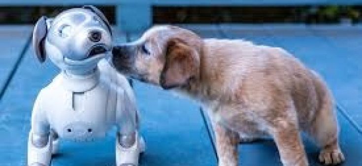 I robot, i cani e l'arte inimitabile di annusare
