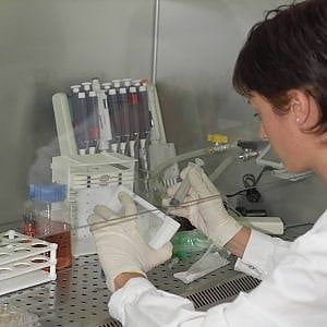 Due strade per l'Italia se vuole giocare nel campionato della ricerca accademica