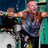 Il terrore dopo lo show dei Coldplay: pullman pieno di fan si schianta in autostrada