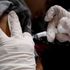 Vaccini, scontro sull'autocertificazione. E anche Bussetti critica Grillo